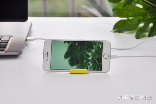 2021年蘋果產品選購指南 iPhone、iPad、iWatch、AirPods全方位解析及軟件設計開發推薦